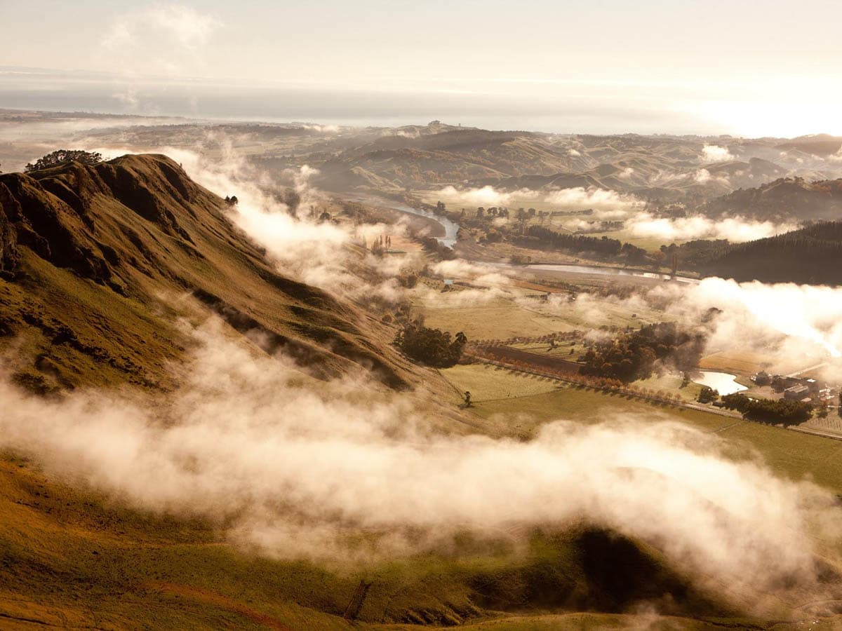 Cover Image for New Zealand Wine: Guide to Hawkes Bay